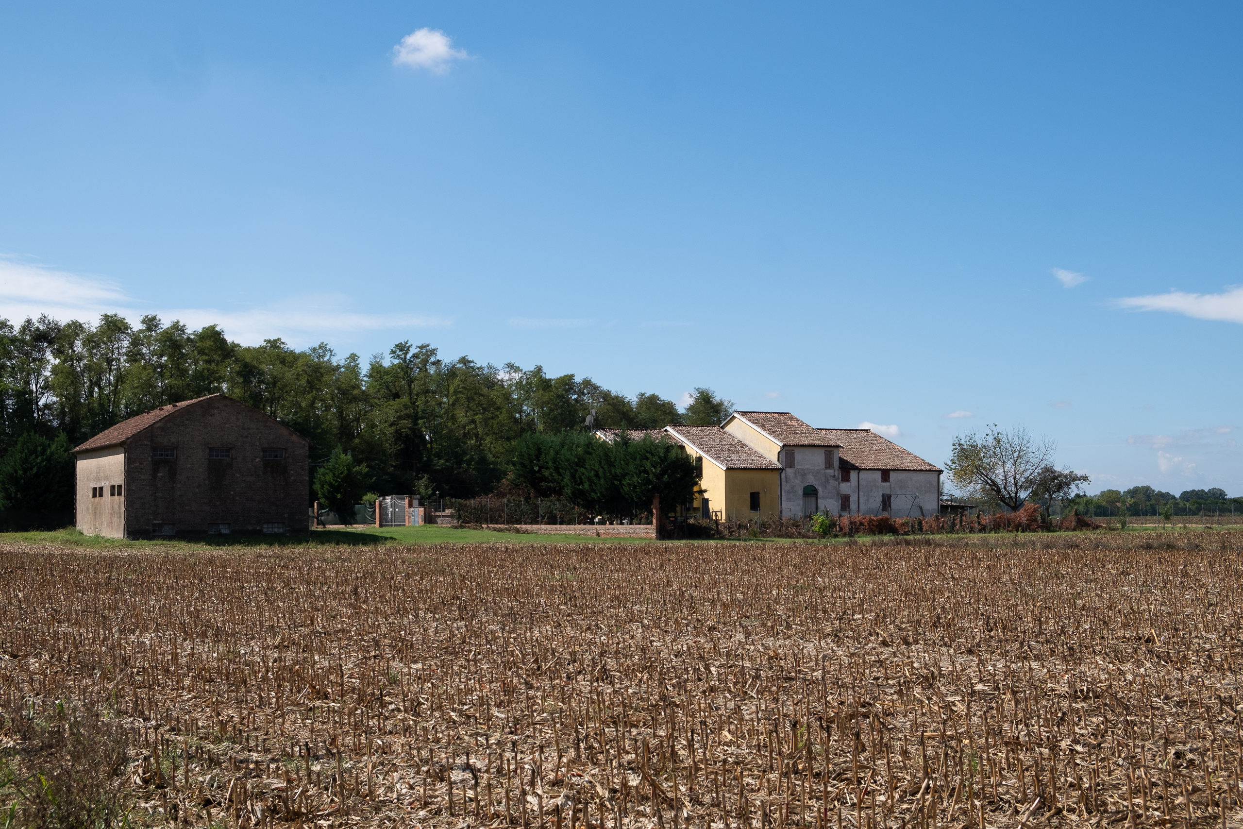 Bauernhof hinter einem abgeernteten Maisfeld